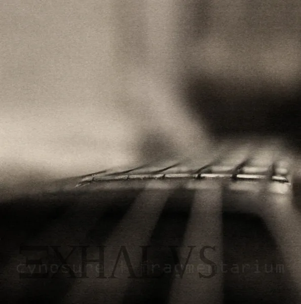 Cynosure | Fragmentarium cover