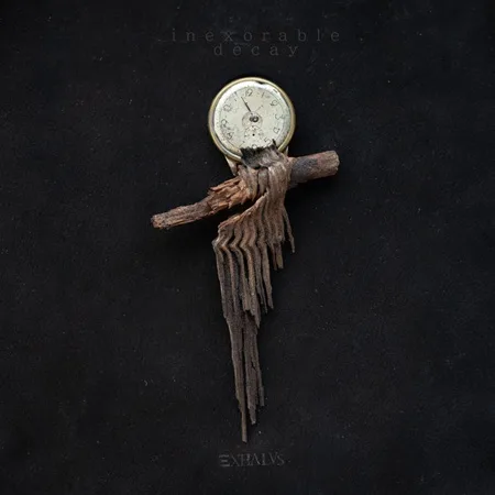 Inexorable Decay cover