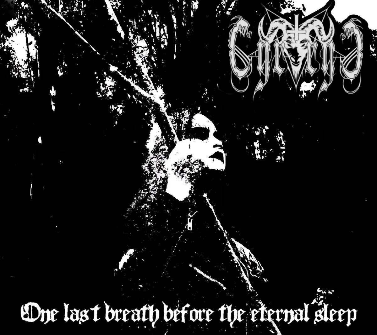 One Last Breath Before the Eternal Sleep cover