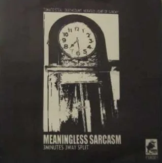 Meaningless Sarcasm 3 Minutes 3 Way Split cover