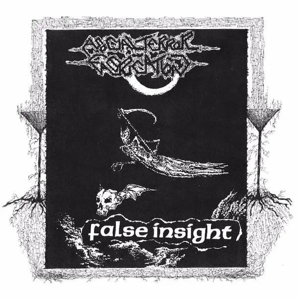 Asocial Terror Fabrication / False Insight cover