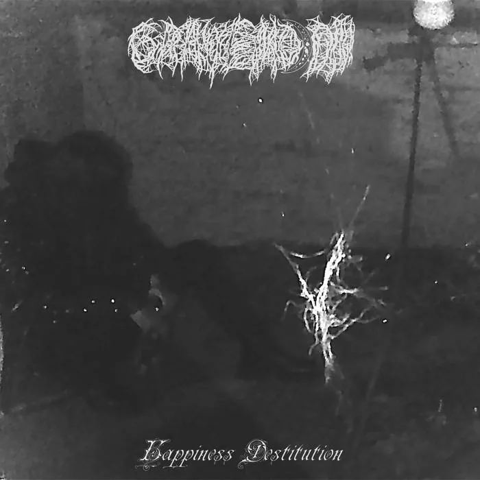 Happiness Destitution cover