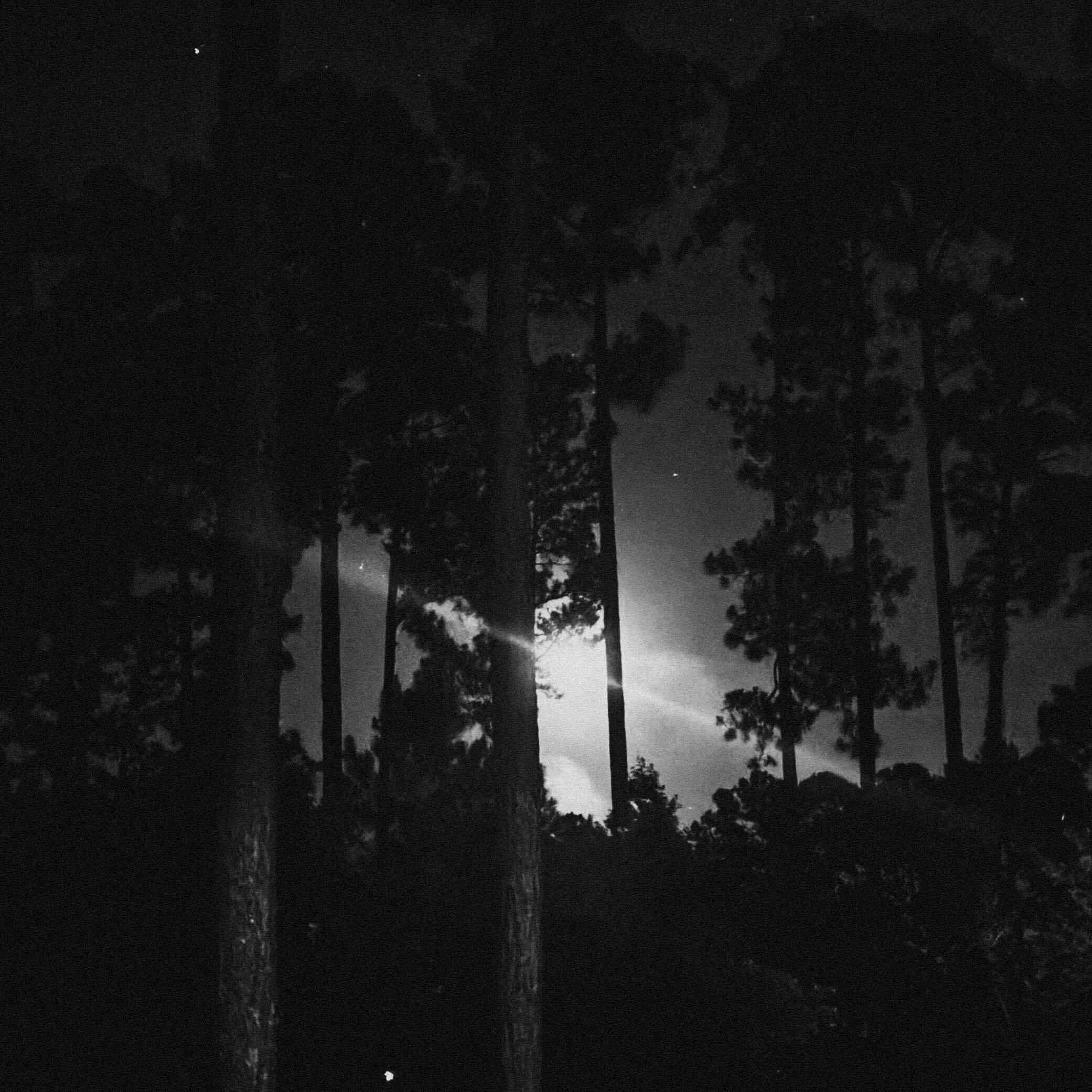 Failure Is a Promise cover