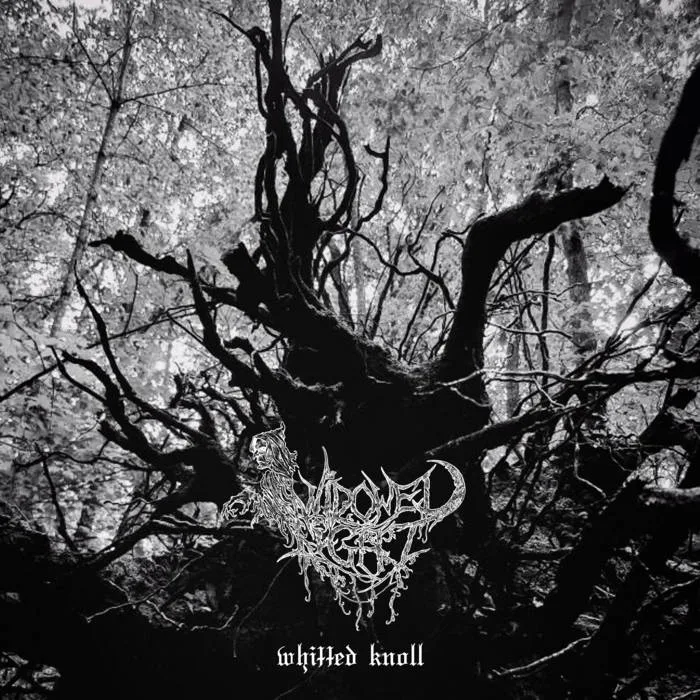 Whitted Knoll cover