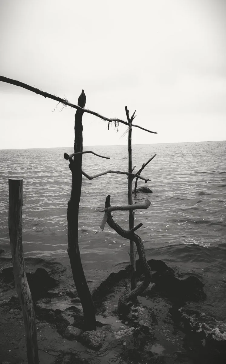 Ritual: Solitude cover