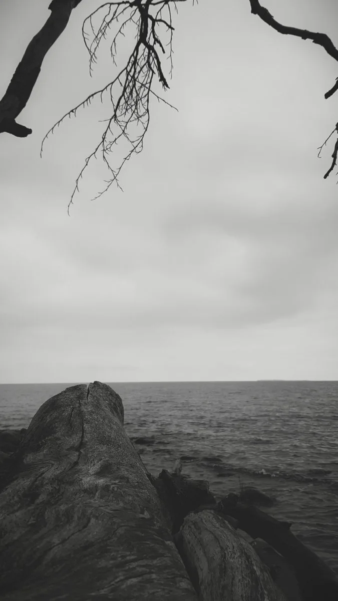 Stormbound cover