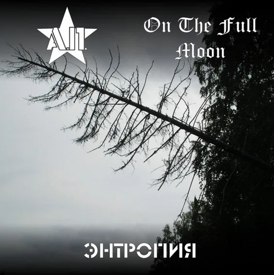 Энтропия cover