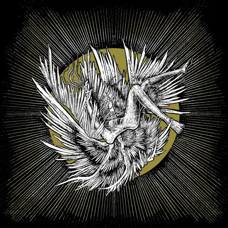 The Wound cover