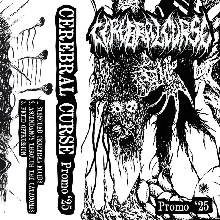 Promo '25 cover