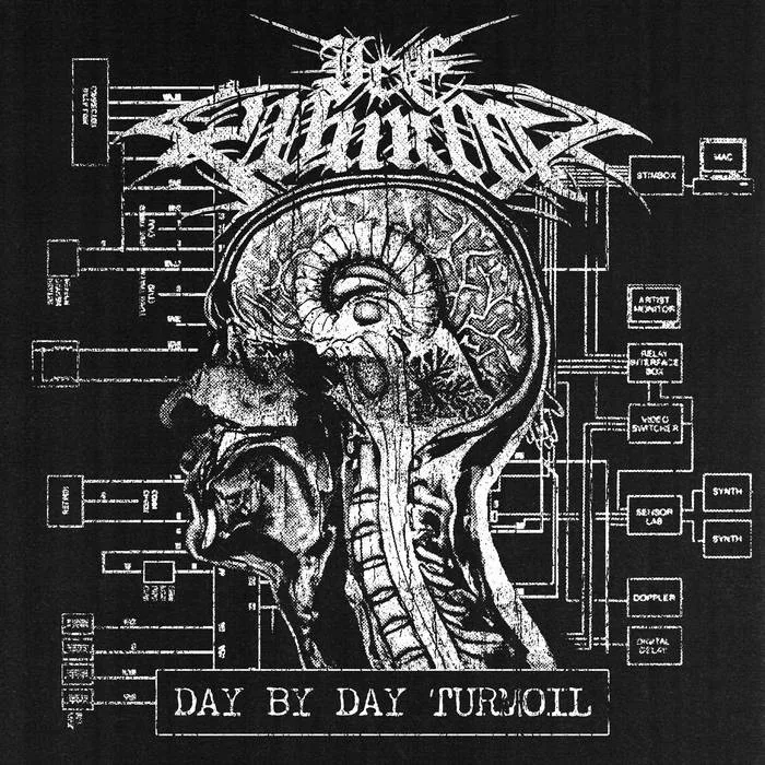 Day by Day Turmoil cover