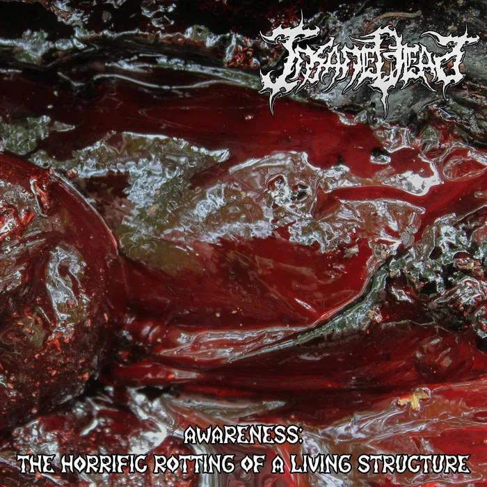 Awareness: The Horrific Rotting of a Living Structure cover