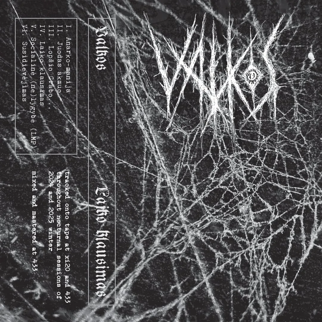 Laiko klausimas cover