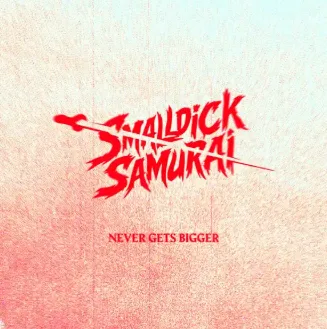 Never Gets Bigger cover