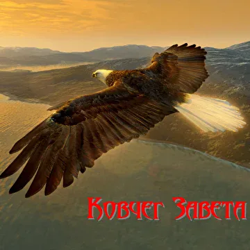 Тень орла cover