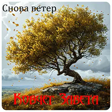 Снова ветер cover