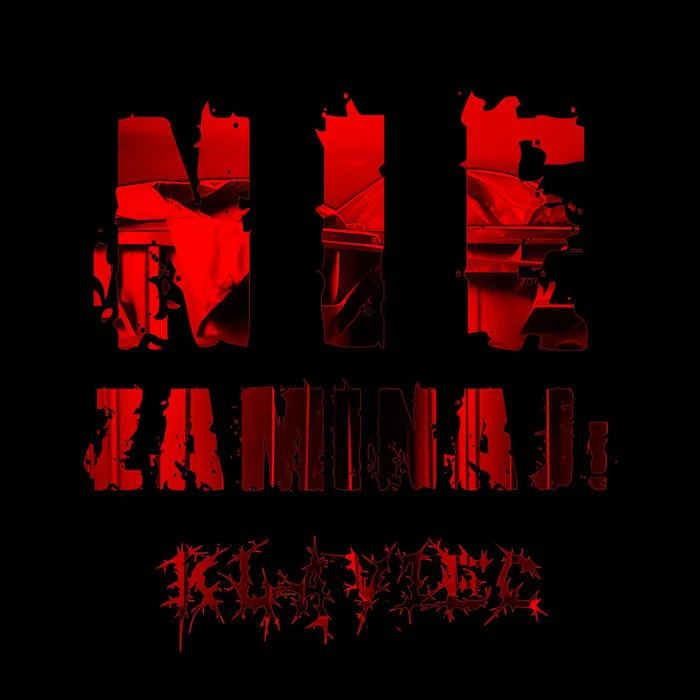 Nie zaminaj! cover