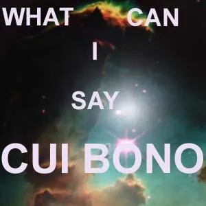 What Can I Say cover