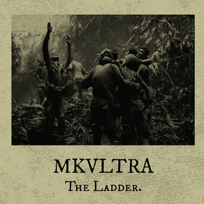 The Ladder cover