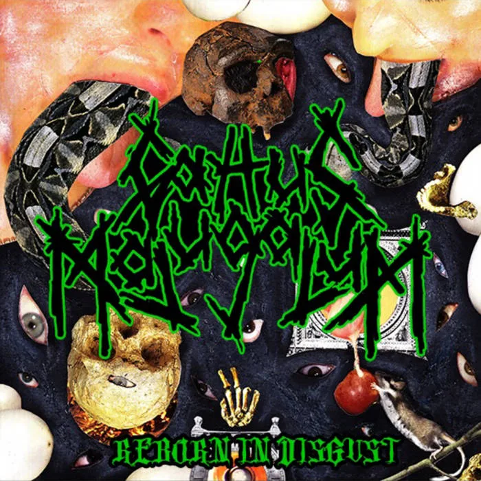 Reborn in Disgust cover