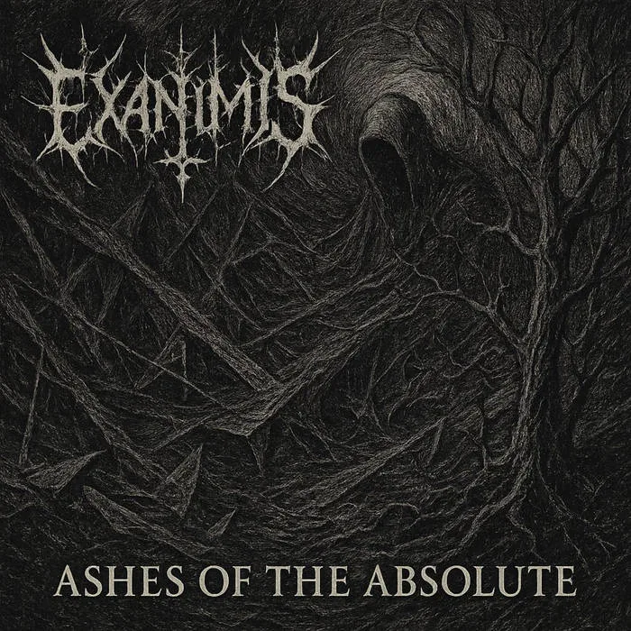 Ashes of the Absolute cover