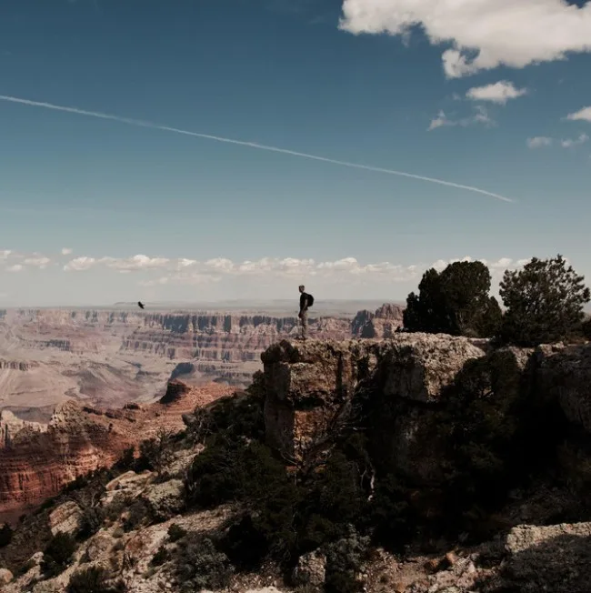 Intentionality cover