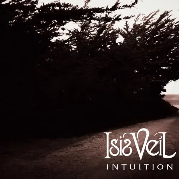 Intuition cover