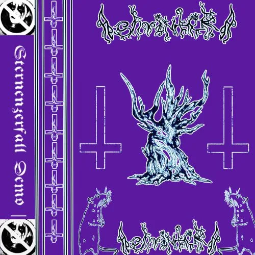 Sternenzerfall cover