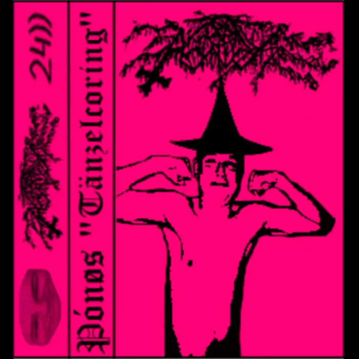 Tänzelcoring cover