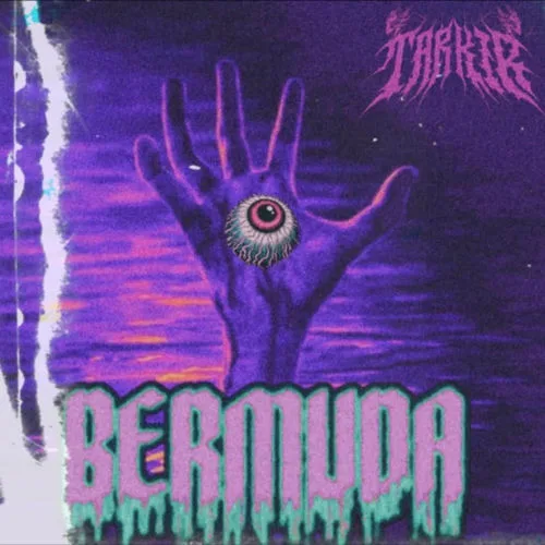Bermuda cover