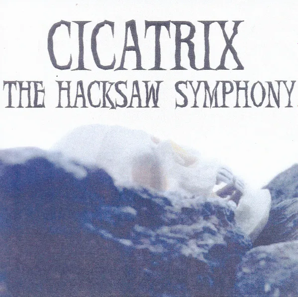 The Hacksaw Symphony cover
