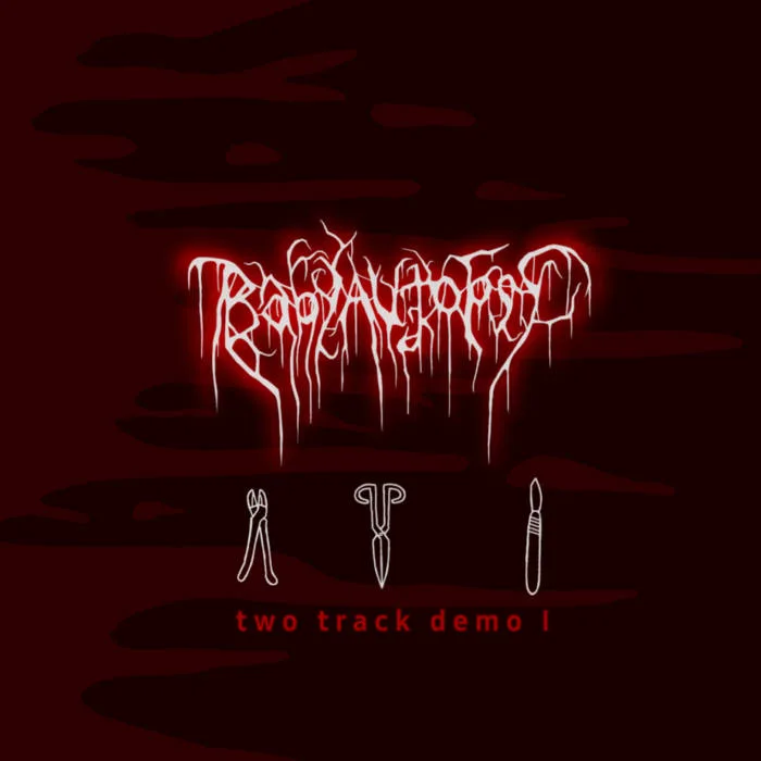 Two Track Demo I cover