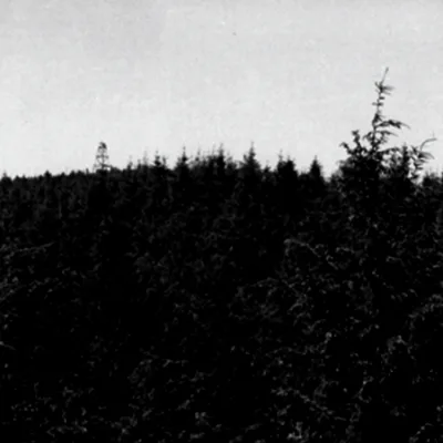 Winterwelt cover