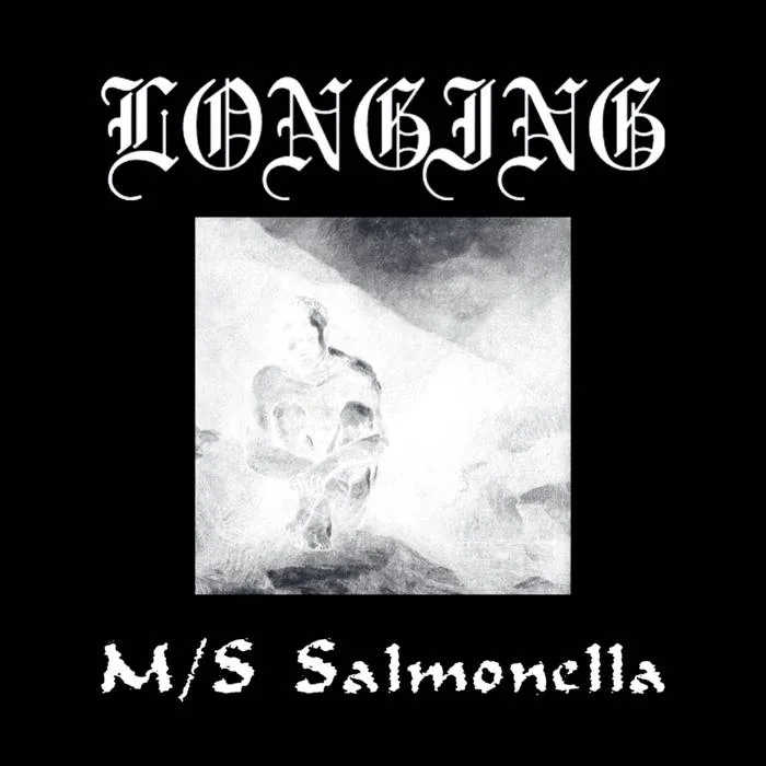 M/S Salmonella cover