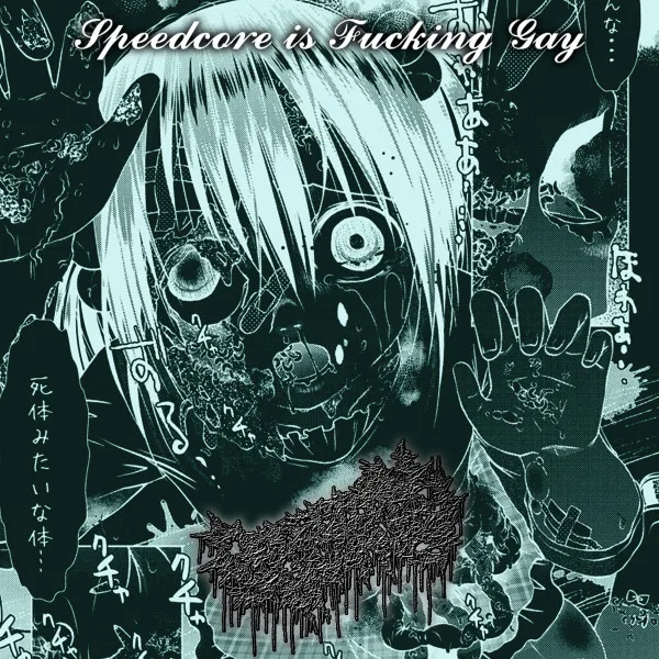 Speedcore Is Fucking Gay cover
