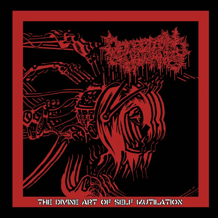 The Divine Art of Self Mutilation (Re-Recorded) cover