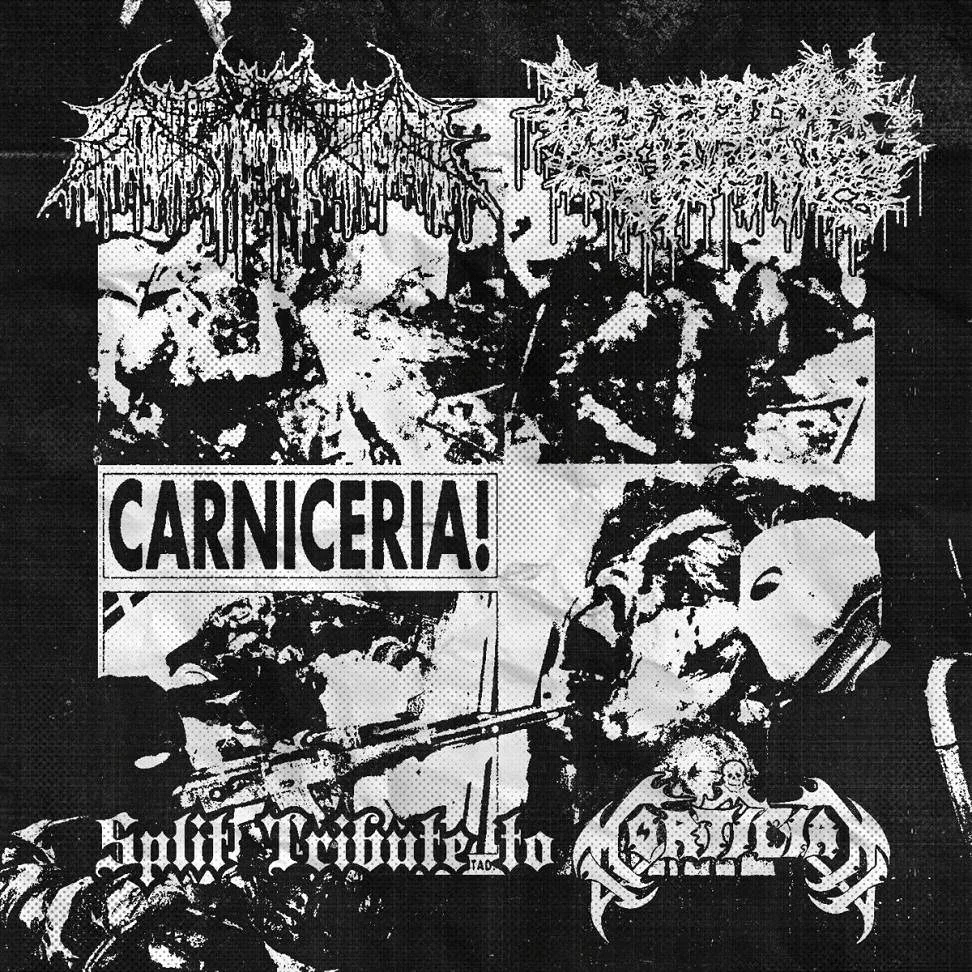 Split Tribute to Mortician cover