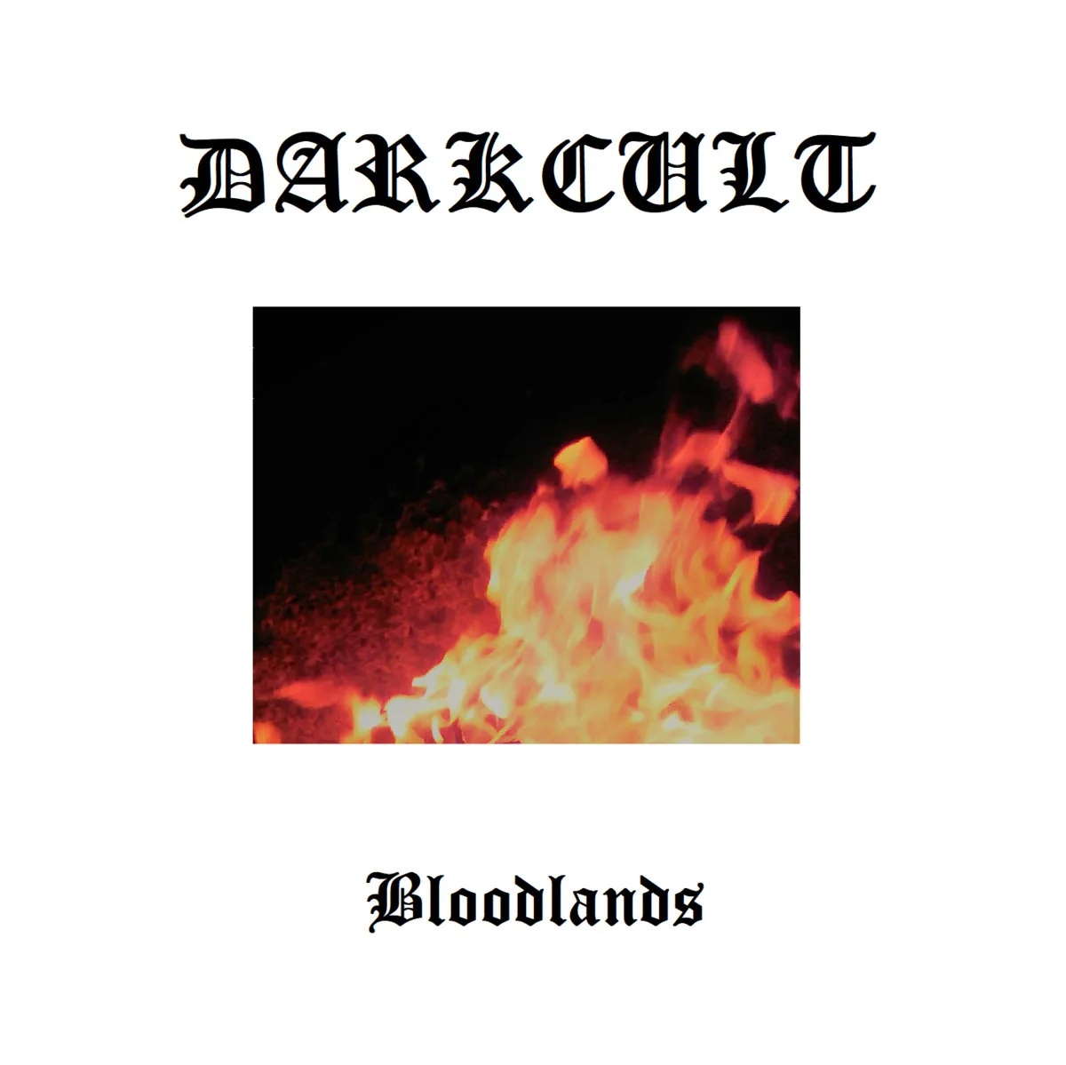 Bloodlands cover