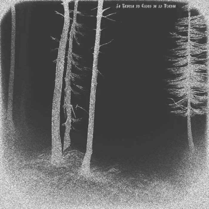 Le temple du chaos de la vierge cover