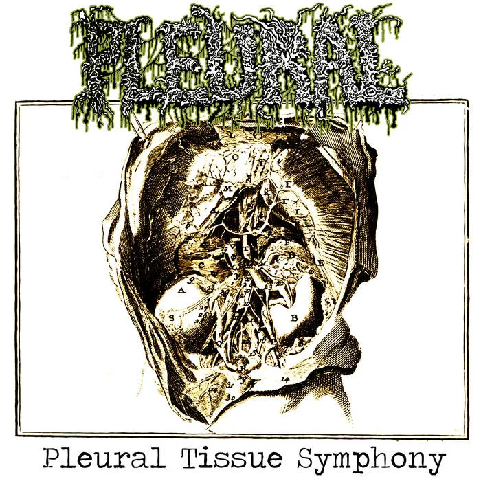 Pleural Tissue Symphony cover