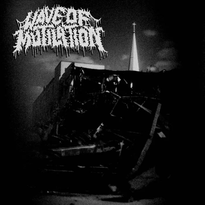 Wave of Mutilation cover