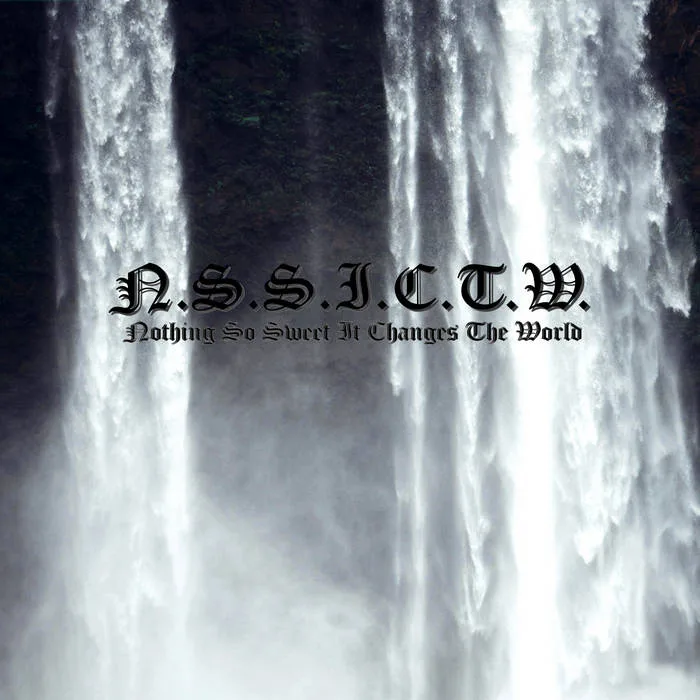 N.S.S.I.C.T.W. cover