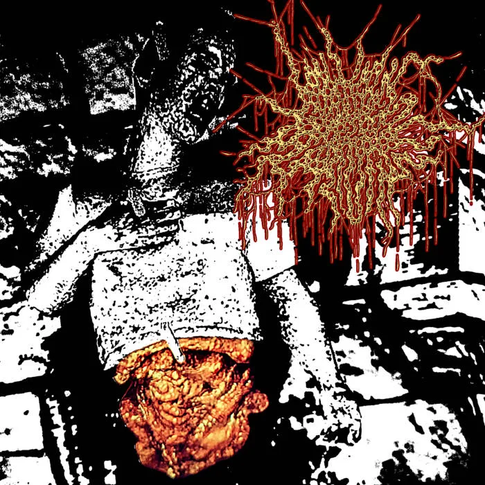 Horrifically Repeating Torture cover