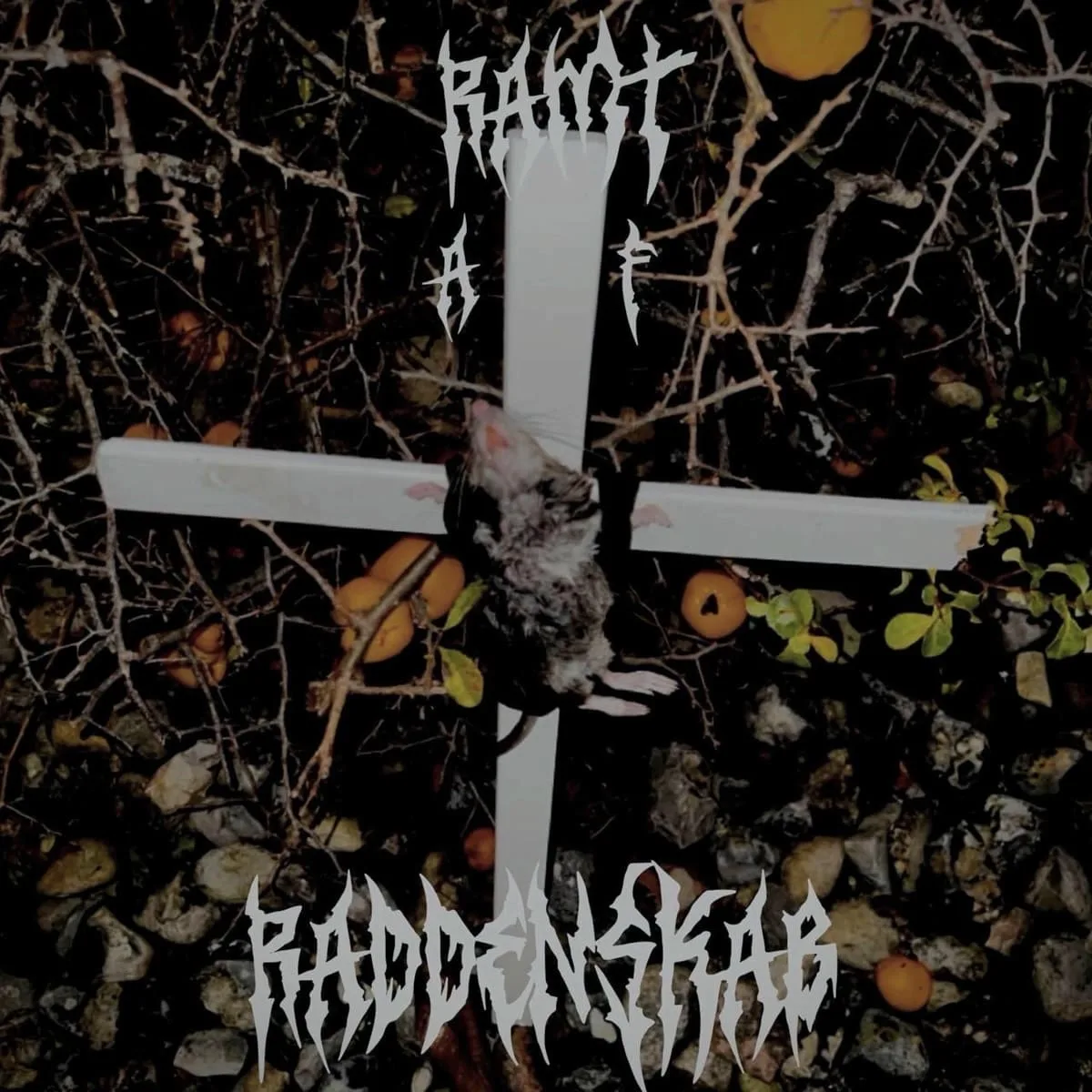 Ramt af Råddenskab cover