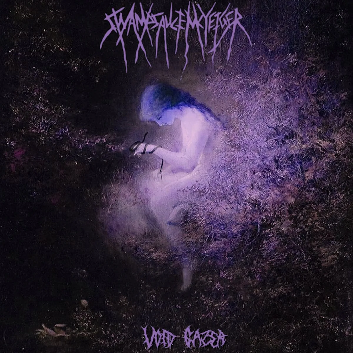 Void Gazer cover