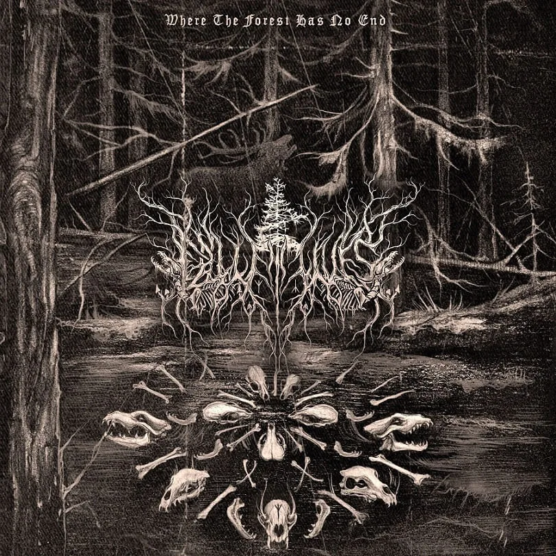 Where the Forest Has No End cover
