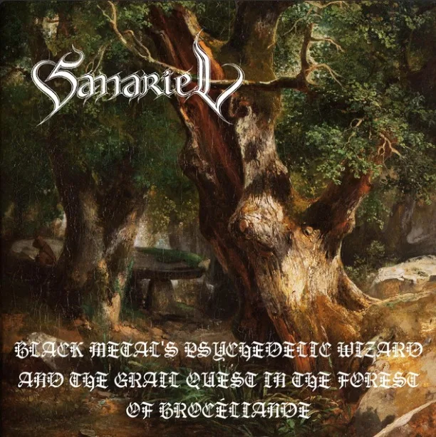 Black Metal's Psychedelic Wizard and the Grail Quest in the Forest of Brocéliande cover