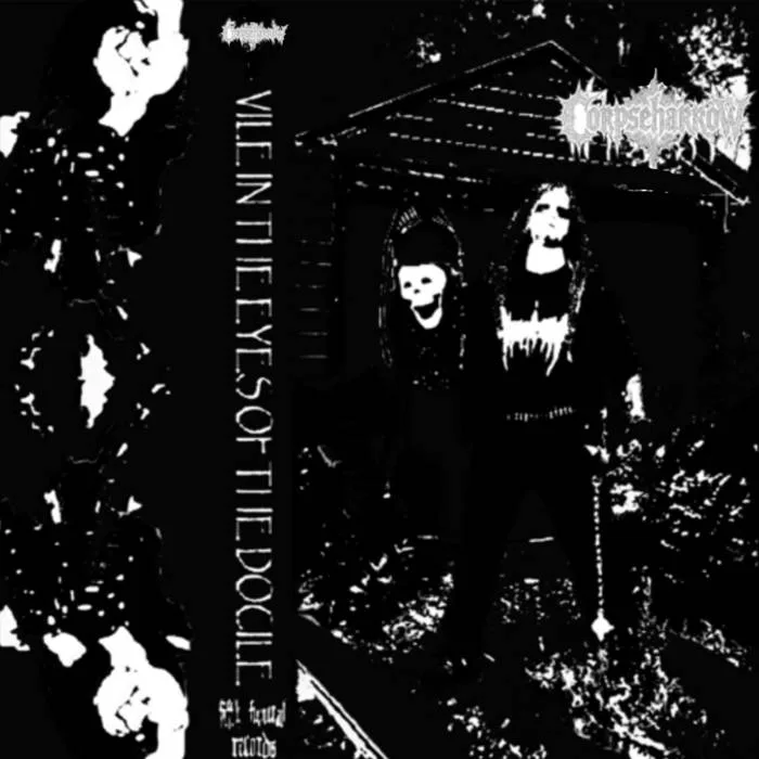 Vile in the Eyes of the Docile cover