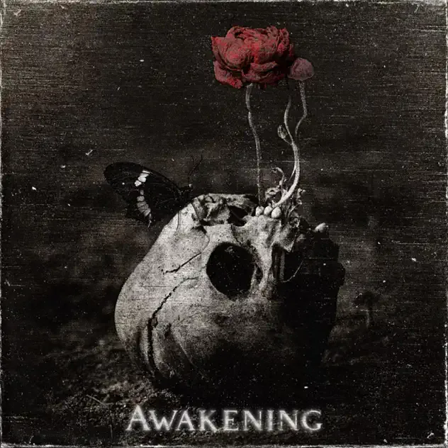 Awakening cover
