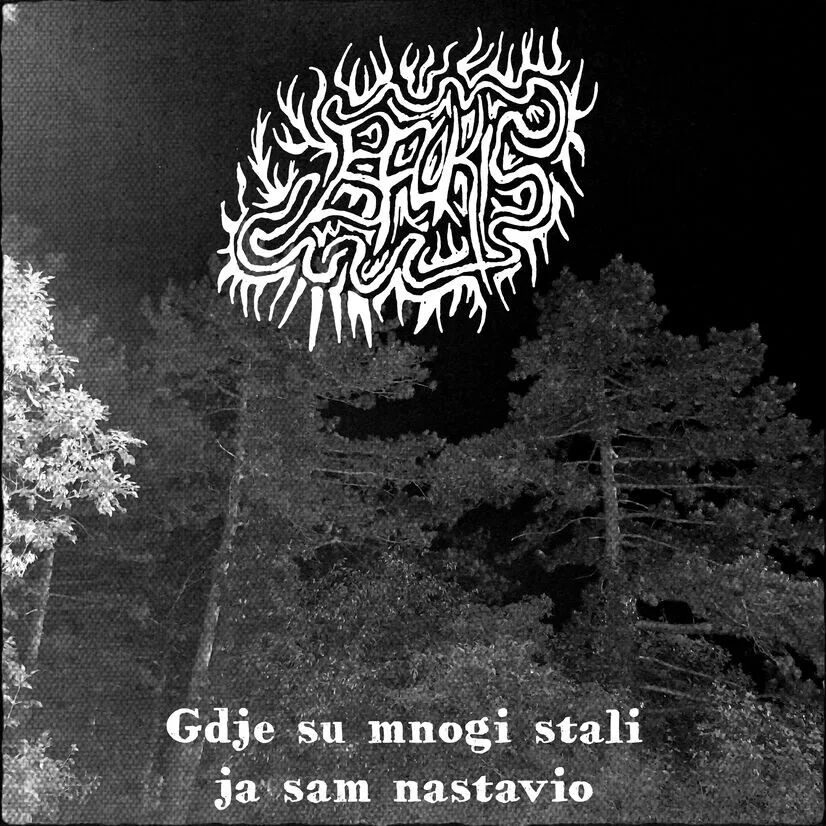 Gdje su mnogi stali, ja sam nastavio cover
