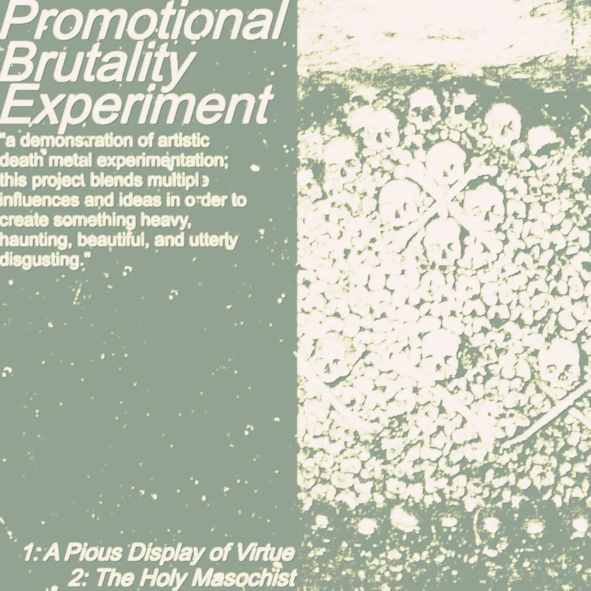 Promotional Brutality Experiment cover